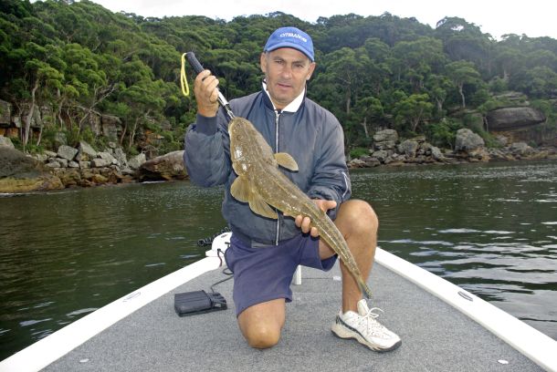 Pic: Mick Fletoridis